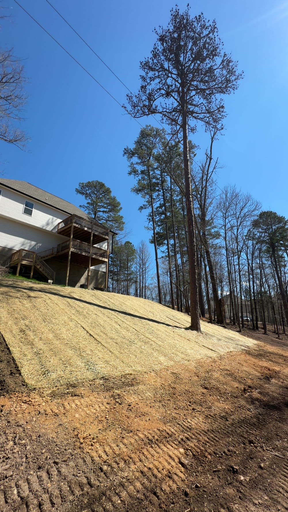 Freshly sodded sloped lawn with trees and a house on a sunny day.