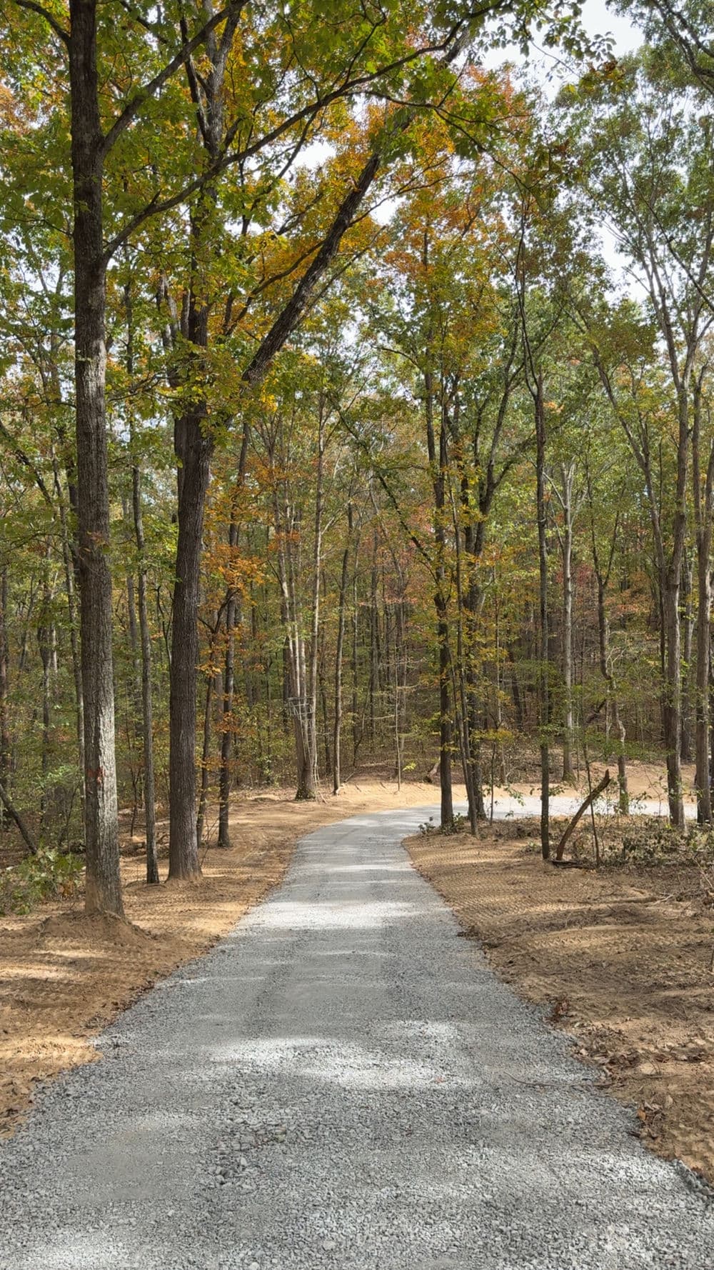 Gravel path winding through colorful autumn forest with trees and fallen leaves.