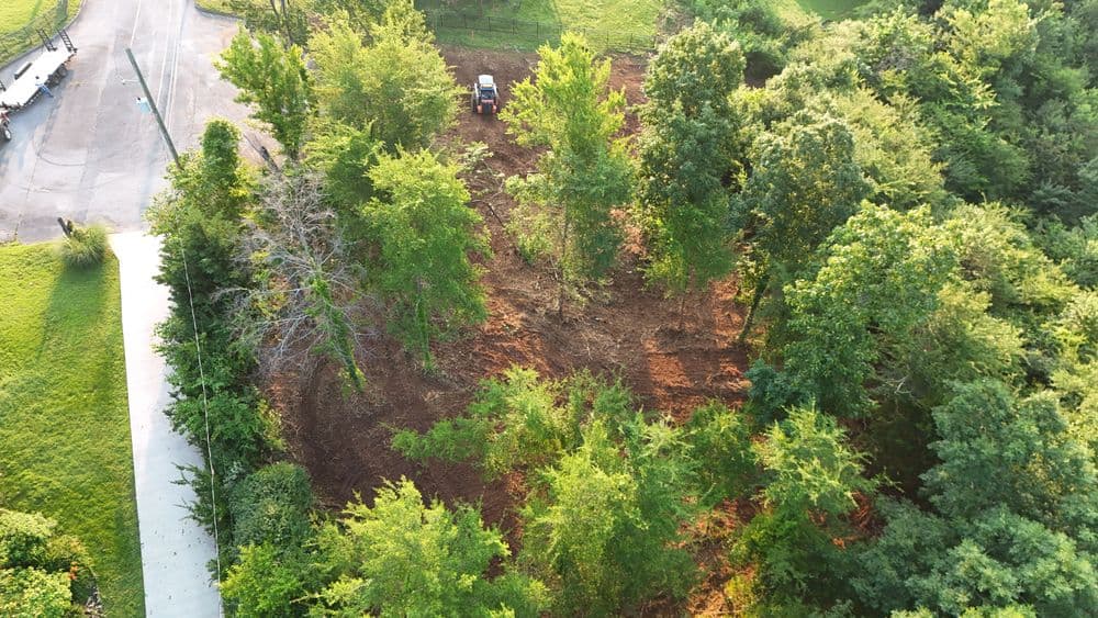 Aerial view of a cleared area with trees, showing land preparation for landscaping or construction.